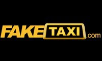 FakeTaxi Profile